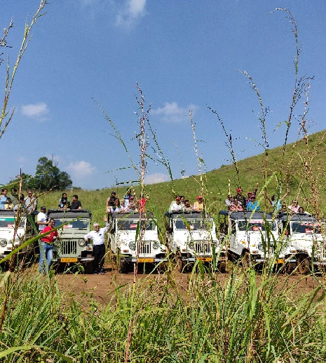 Jungle Jeep Safaris